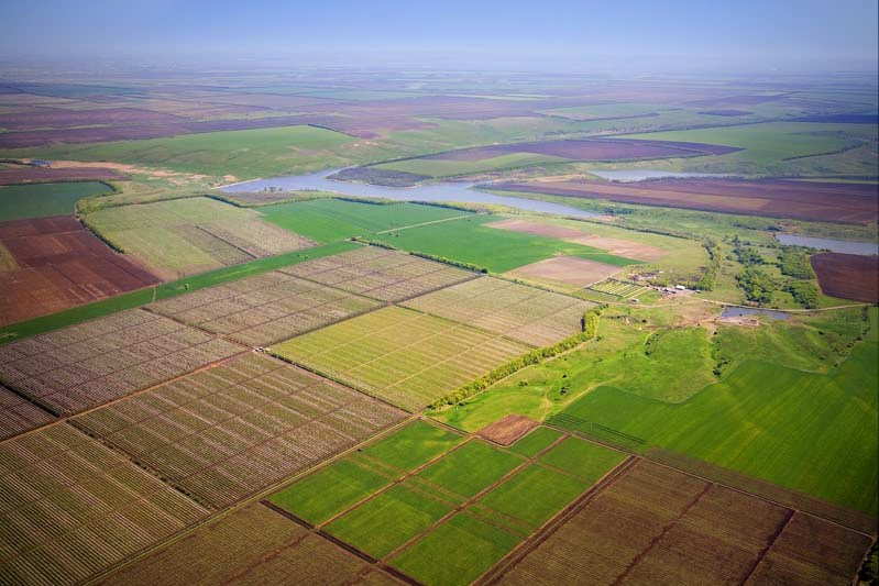 land